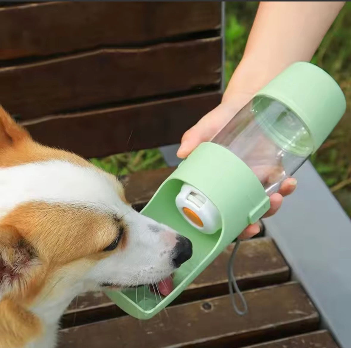 Bouteille d'eau Portable 2-en-1 pour Chien et Chat – 500 ml + Compartiment Croquettes 200 g
