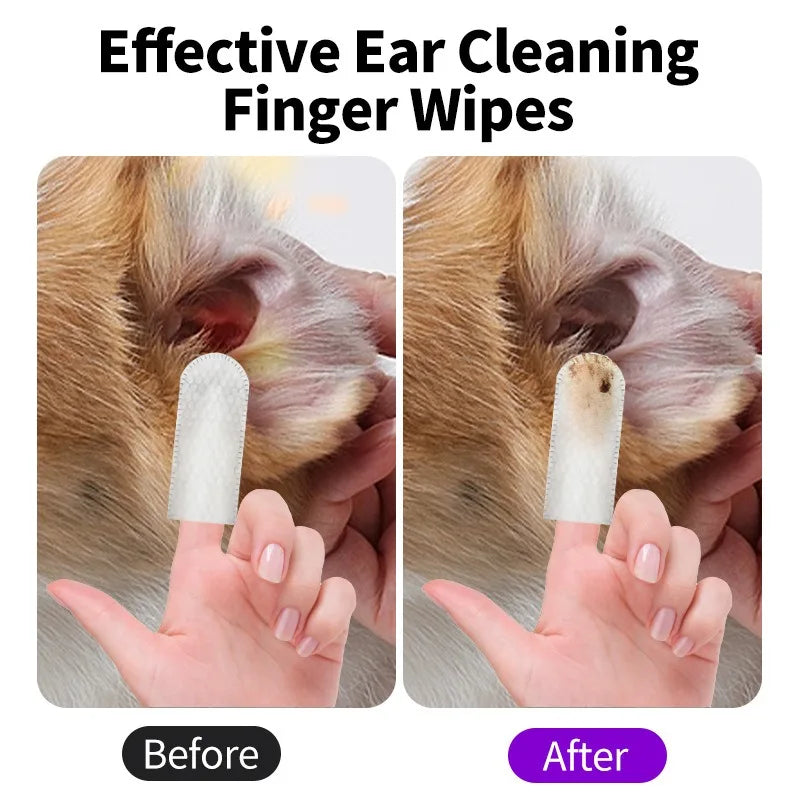 Lingettes Nettoyantes pour Oreilles — Chien & Chat | Soin Anti-Acariens