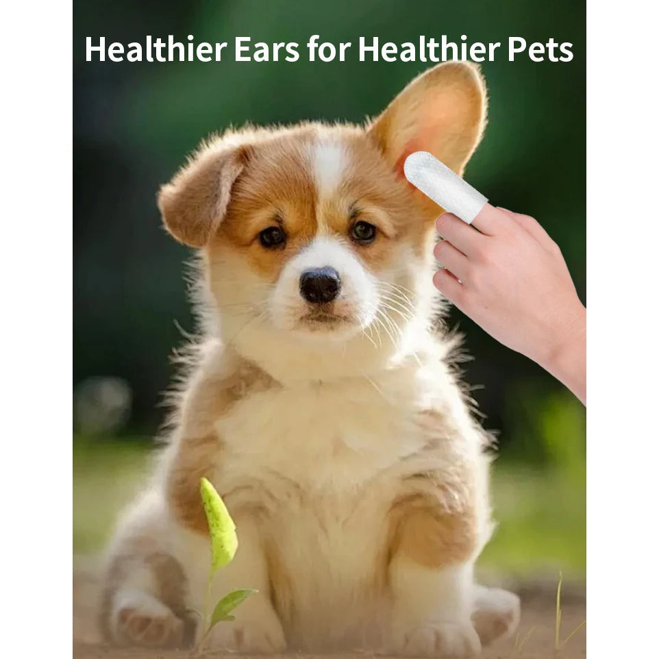 Lingettes Nettoyantes pour Oreilles — Chien & Chat | Soin Anti-Acariens