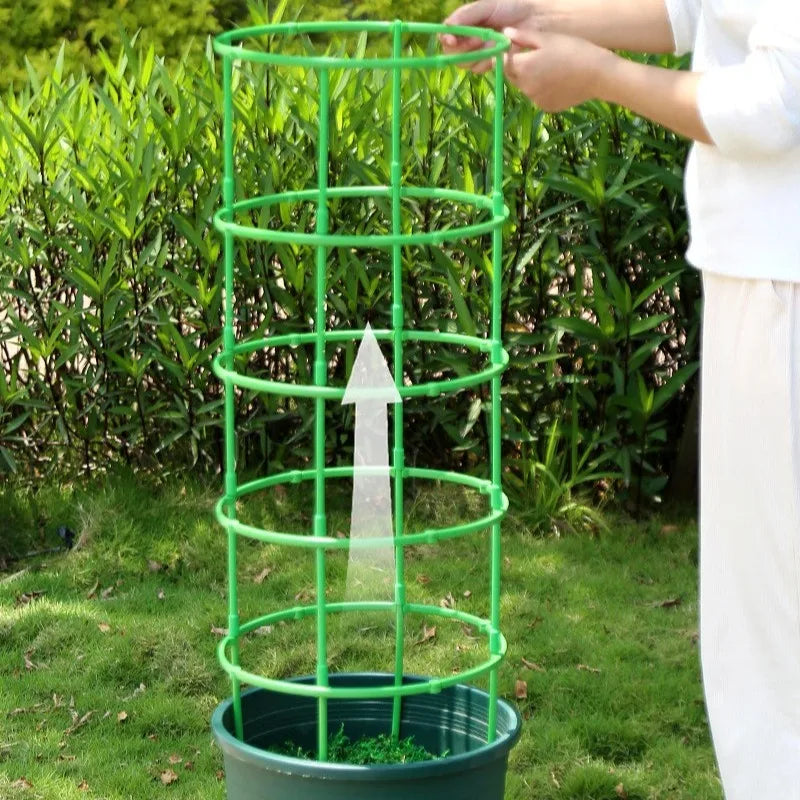 Tuteurs & Supports pour Plantes en Pot — Lot 2 à 6 Sets | Jardinage Facile